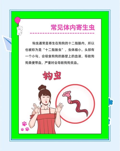 内部寄生虫官方网站:全面了解与防治指南,守护健康!