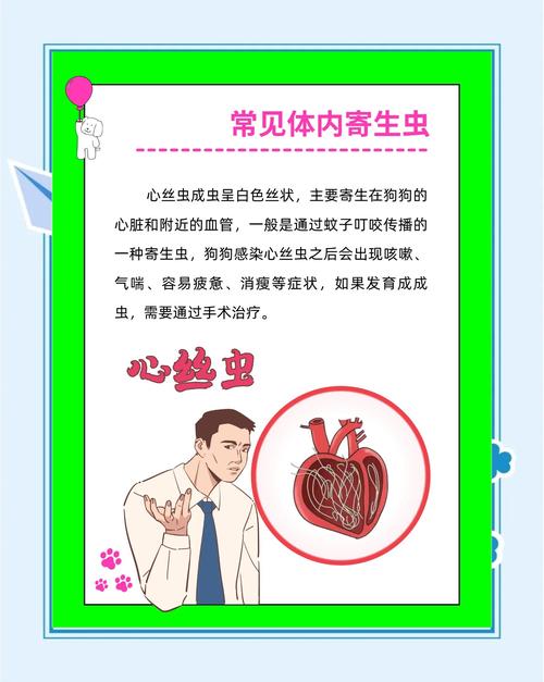 内部寄生虫官方网站:全面了解与防治指南,守护健康!