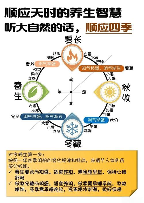 四季官方网站怎么优化体验？(提升浏览流畅度小贴士！)