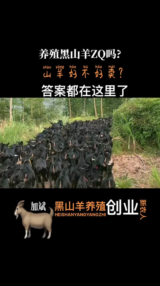 黑山羊之夜最新评测来了，看看大家怎么评价它！