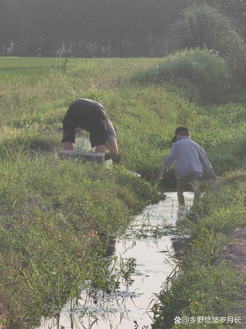乡村生活的快乐暑假下载地址怎么获取?超简单教程来了!