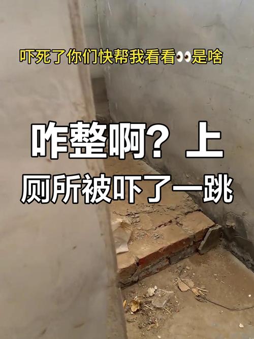 厕所里奇怪的声音下载地址哪里下?(推荐5个靠谱免费网站)