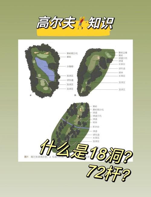 高尔夫棒球洞怎么玩?图解玩法步骤一看就会!