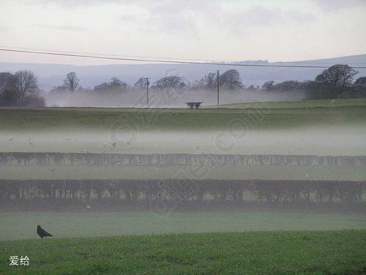 mist薄雾安装常见问题怎么解决？官方修复技巧解析！