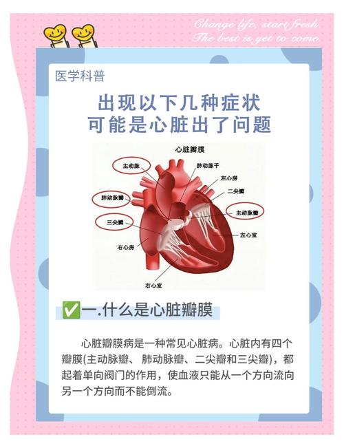 心脏问题如何下载怎么做？三招教你快速获取健康资料！