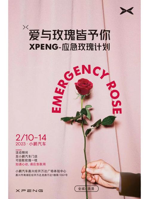 玫瑰行动最新版本怎么升级?简单三步完成安装