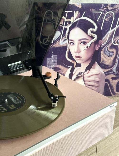 邓紫棋游戏介绍怎么玩？(入门技巧避开常见坑)