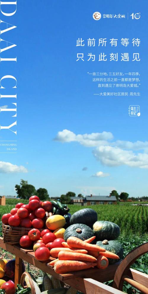 岛主日记下载地址